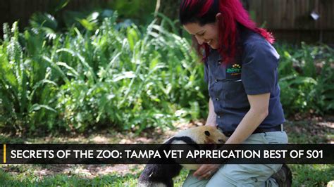 Secrets.of.the.Zoo.Tampa.S03.720p.WEBRip.AAC2.0.x264 .